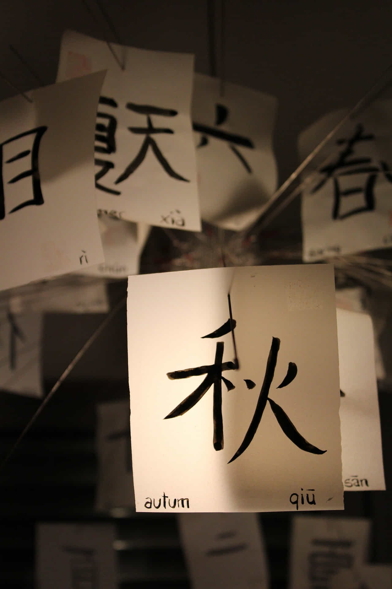 History of Calligraphy in China